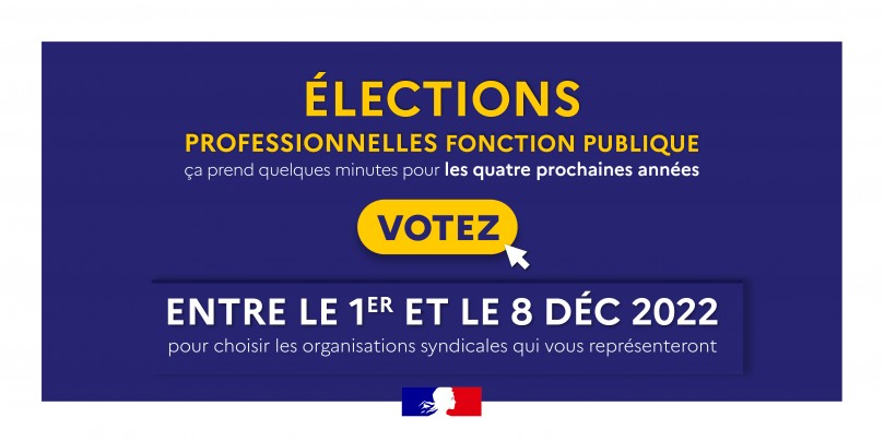 Twitter_bleuetjaune_electronique #electionsprof2022