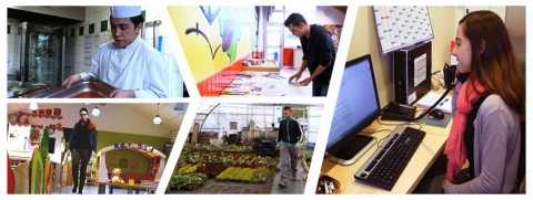 Consultez les offres de stage et d'apprentissage CDG44 Consultez les offres de stage et d'apprentissage CDG44