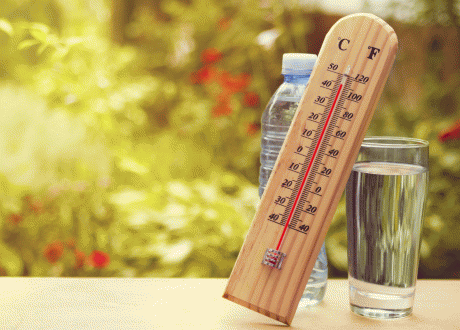 canicule