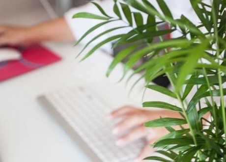 Mise en place optionnelle au 1er septembre de l'indemnité de télétravail