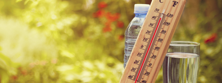 plan canicule