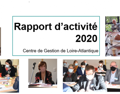 Rapport d'activité 2020 CDG44