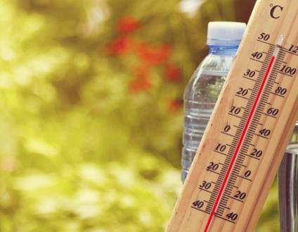plan canicule