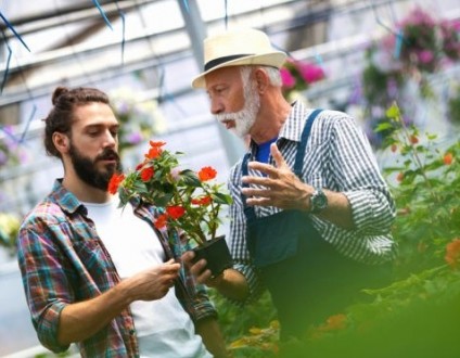 apprenti jardinier