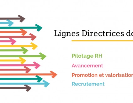 Lignes directrices de gestion (LDG)