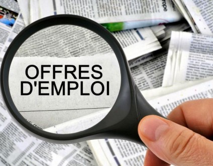 offre d'emploi du centre de gestion de Loire-Atlantique