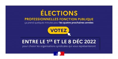 Twitter_bleuetjaune_electronique #electionsprof2022