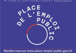 place de l'emploi public